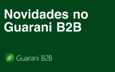 Novidades no Guarani B2B